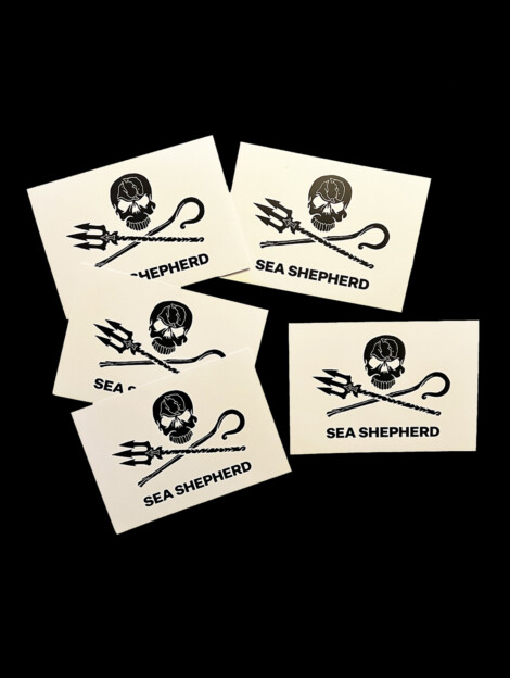 Aufkleber Jolly Roger (weiss)